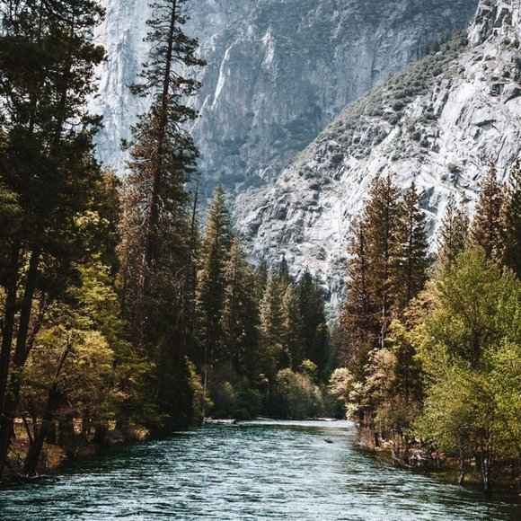 Meet your Posher, Chloe - Picture 10 of 14